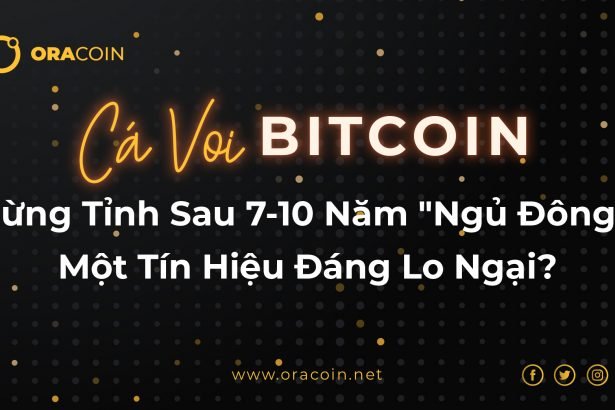 Cá Voi Bitcoin Bừng Tỉnh Sau 7-10 Năm "Ngủ Đông"
