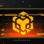 Mạng Lưới BNB Chain Dừng Hoạt Động Sau Khi Bị Khai Thác 100 Triệu Đô Qua Cầu Nối Cross-Chain