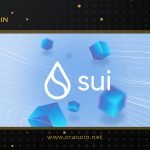 Sui Blockchain Là Gì? Có Phải Đây Là Kẻ Thách Thức Mới?