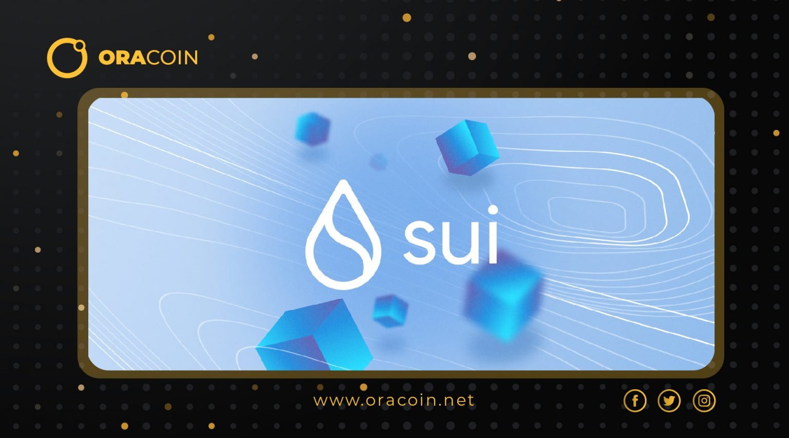 Sui Blockchain Là Gì? Có Phải Đây Là Kẻ Thách Thức Mới?